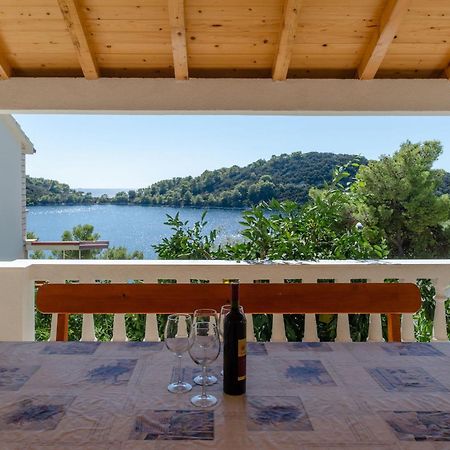 Panoramic Apartments Anic Blato  Exterior photo